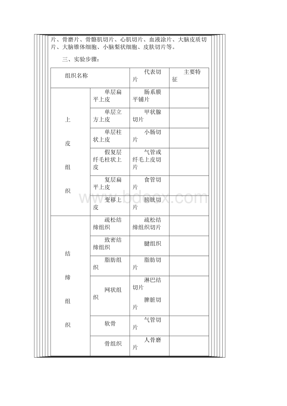 人体解剖学实验教案.docx_第3页