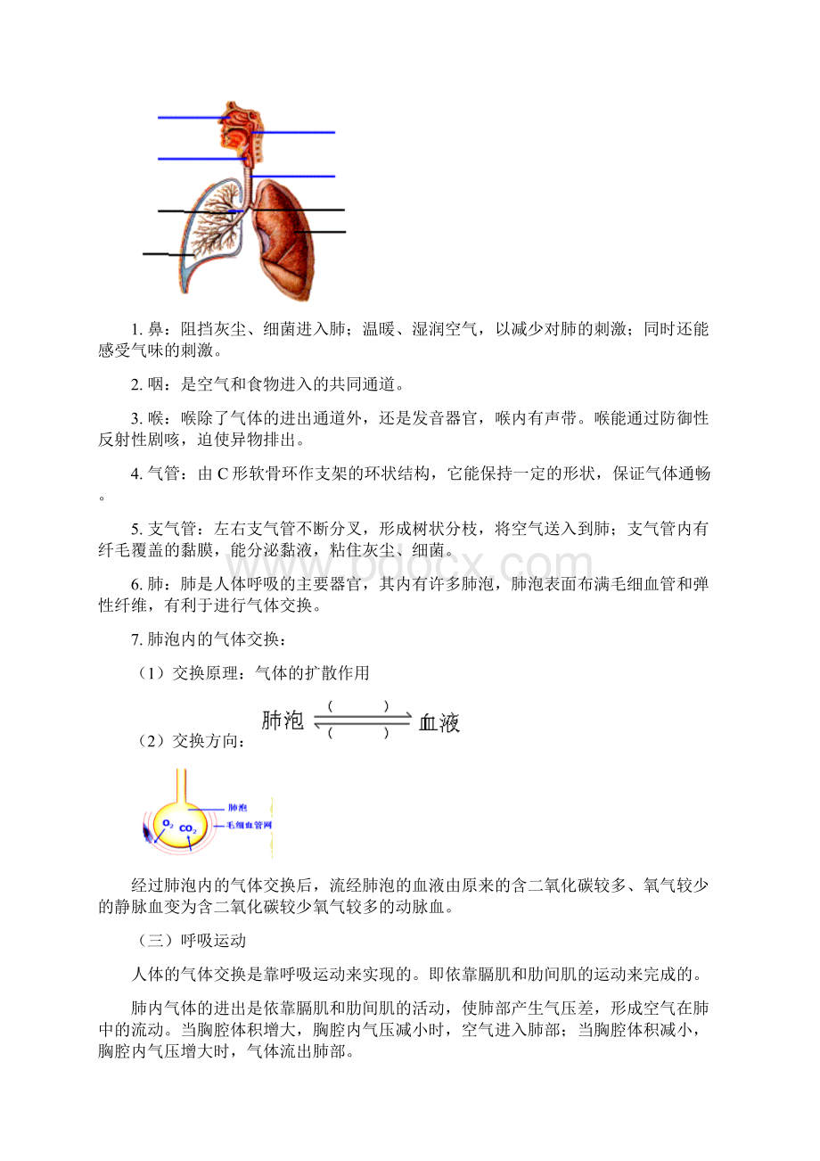 生物呼吸光合作用Word文档格式.docx_第2页