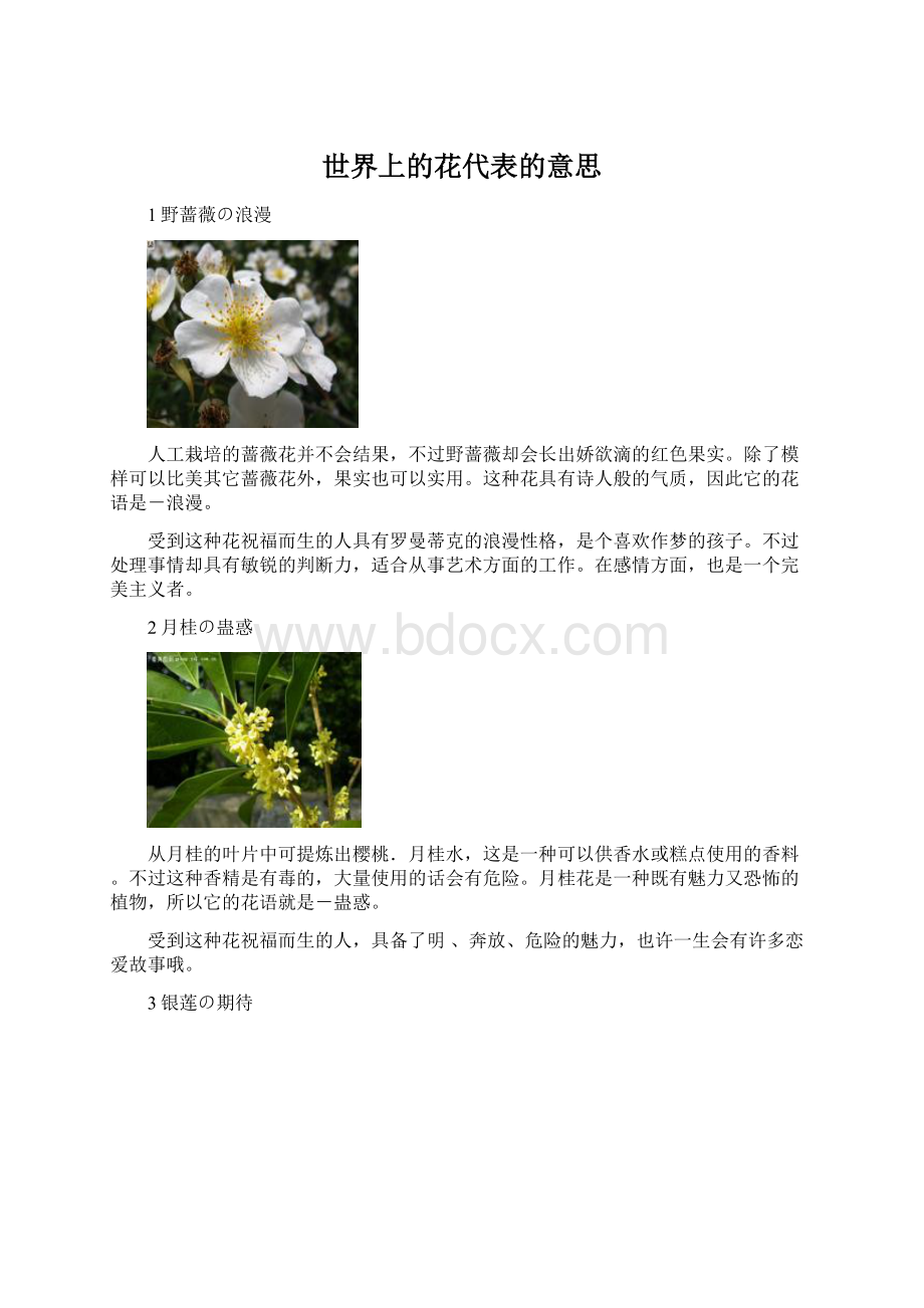 世界上的花代表的意思.docx