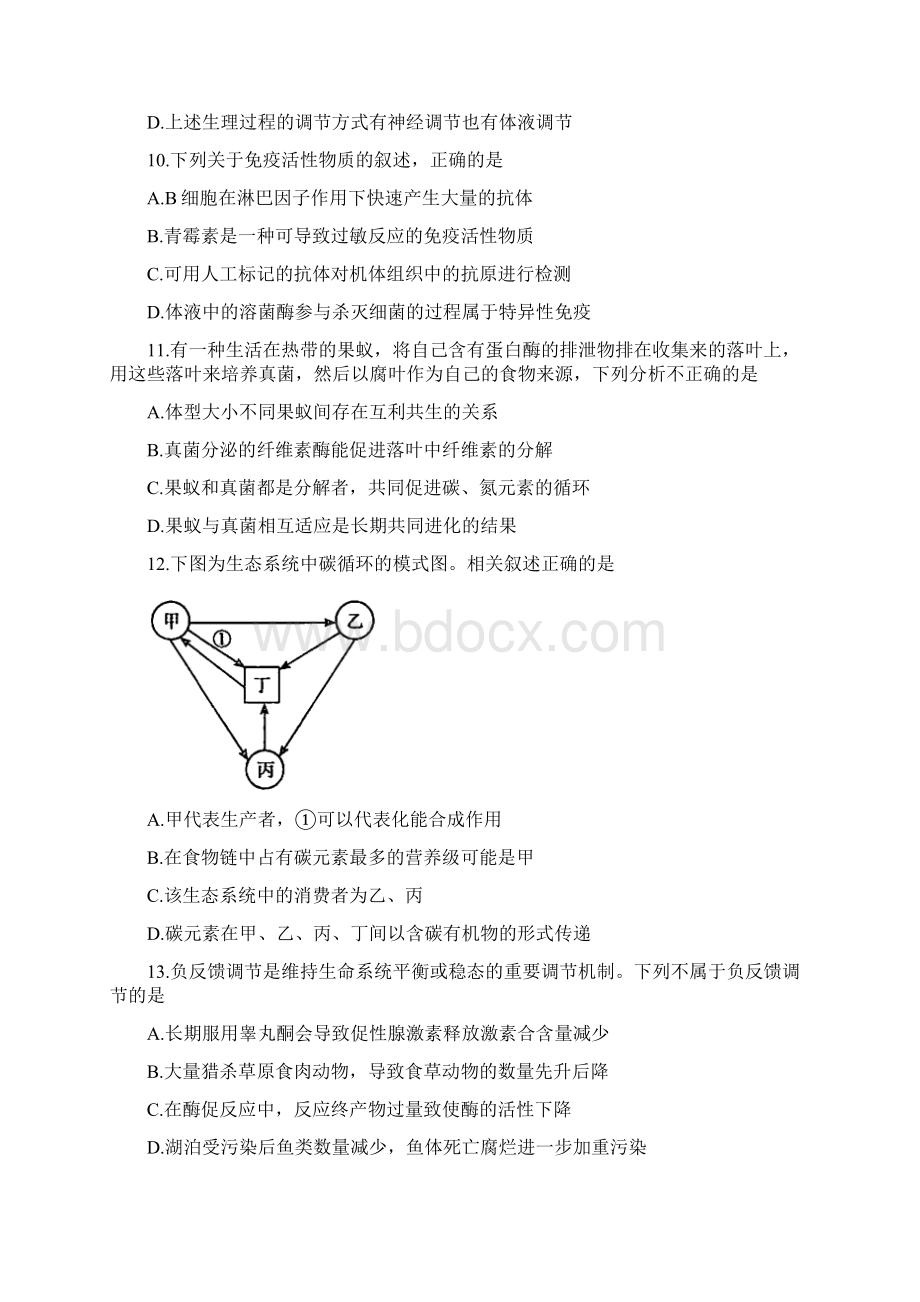 届北京市朝阳区高三上学期期末考试生物试题Word文档下载推荐.docx_第3页