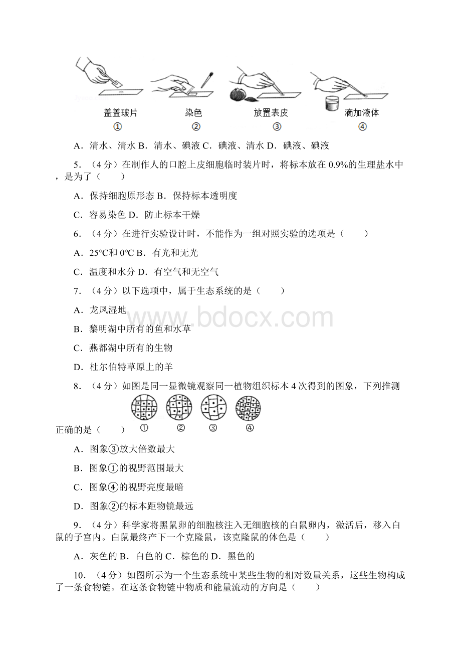 人教版学年度上学期七年级生物期中考试题及答案Word格式.docx_第2页