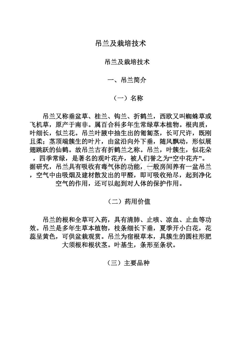 吊兰及栽培技术Word格式.docx_第1页