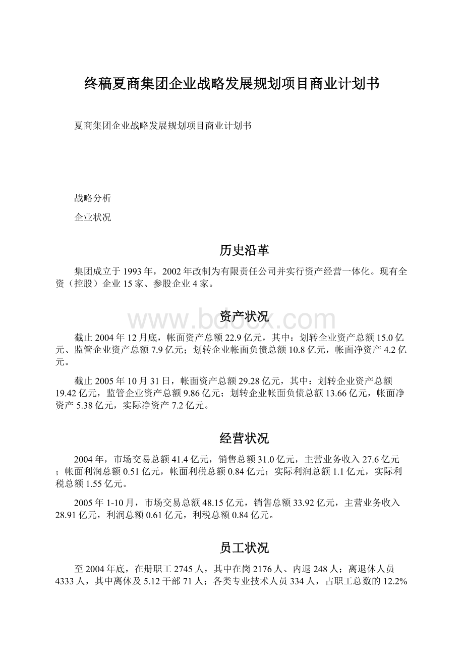 终稿夏商集团企业战略发展规划项目商业计划书.docx