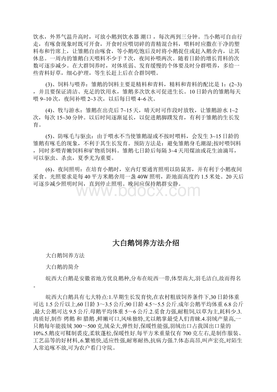 大白鹅饲养方法大白鹅养殖技术doc.docx_第2页