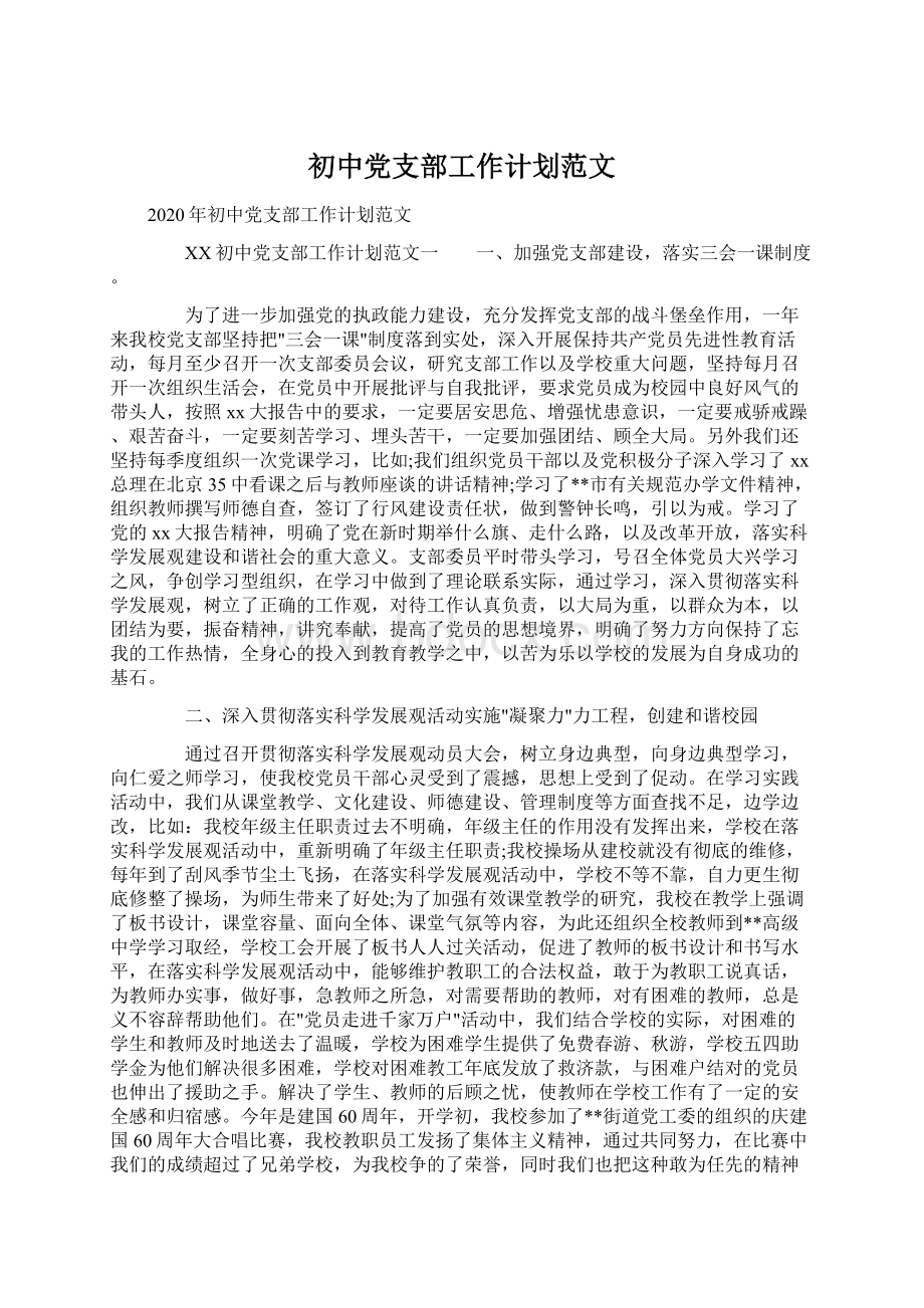 初中党支部工作计划范文.docx