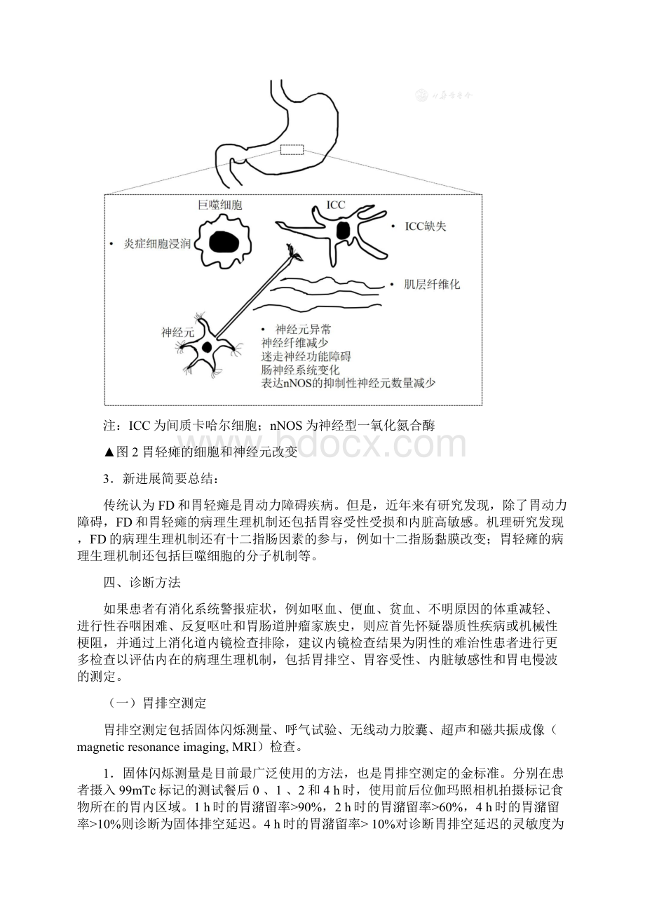 功能性消化不良和胃轻瘫的病理生理学和治疗新进展全文Word下载.docx_第3页