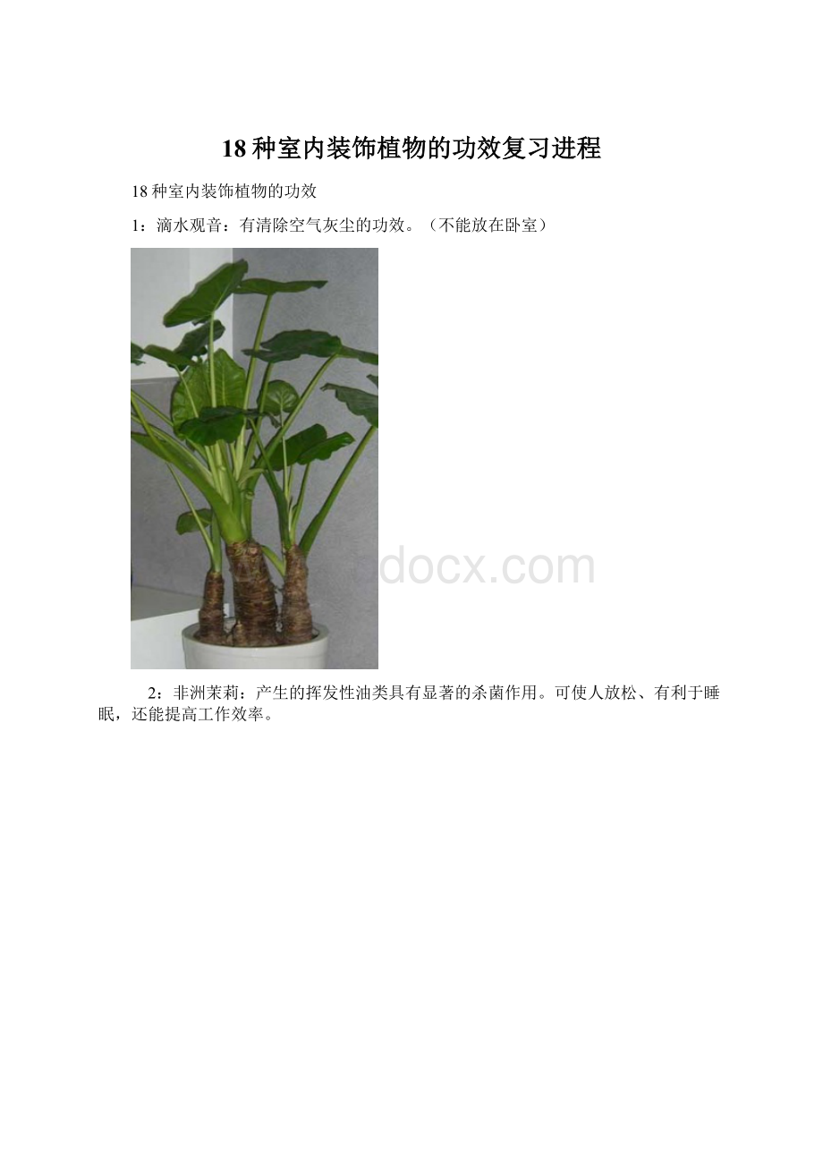 18种室内装饰植物的功效复习进程.docx