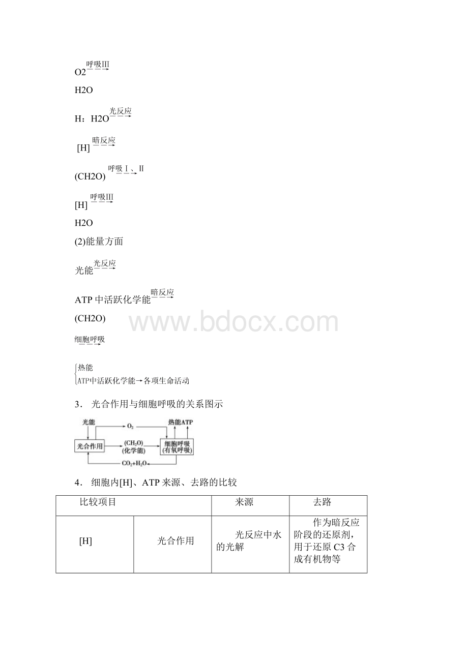 高三生物专项突破 考能专项突破3 聚焦细胞代谢相关题型Word文档下载推荐.docx_第2页