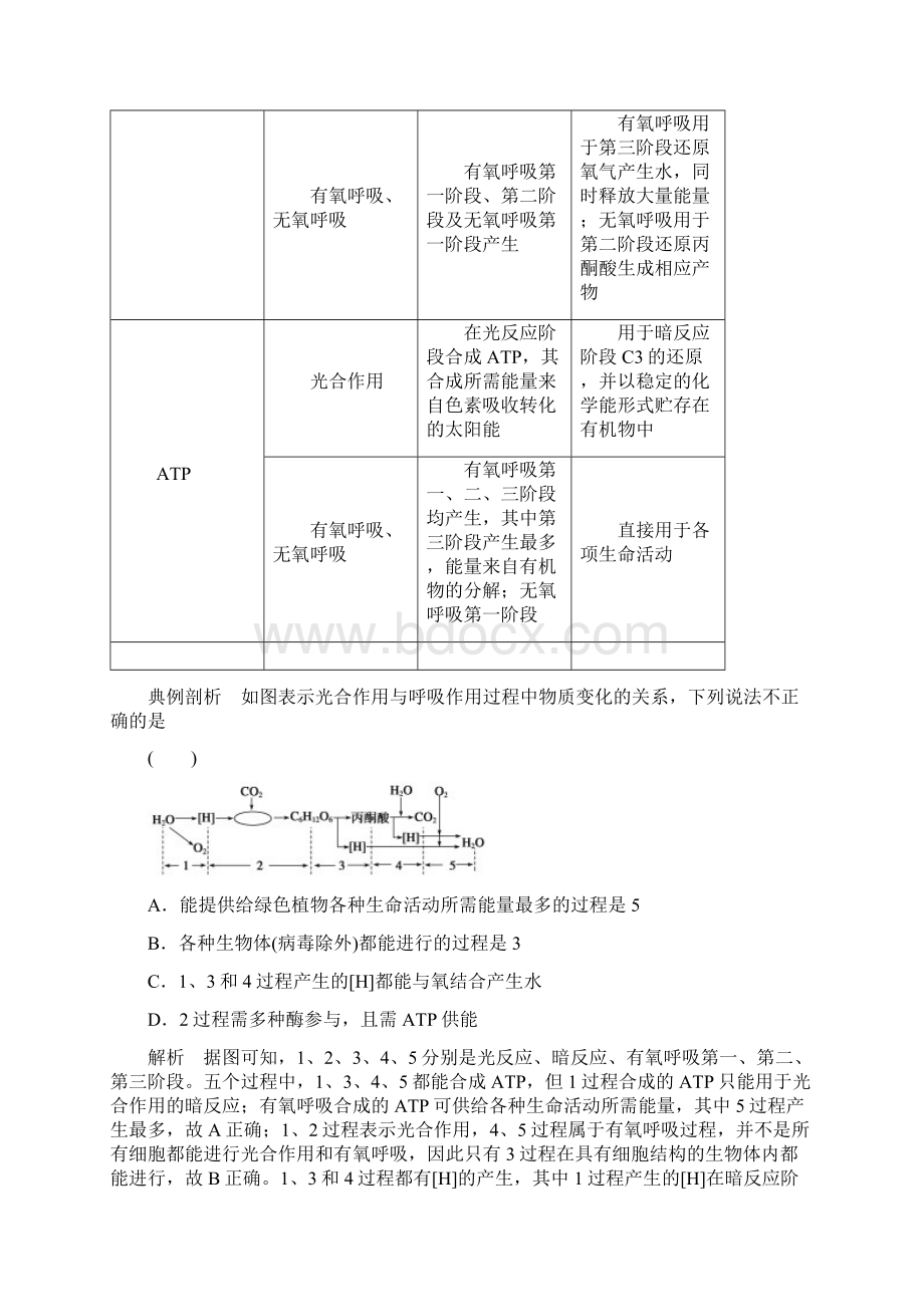 高三生物专项突破 考能专项突破3 聚焦细胞代谢相关题型.docx_第3页