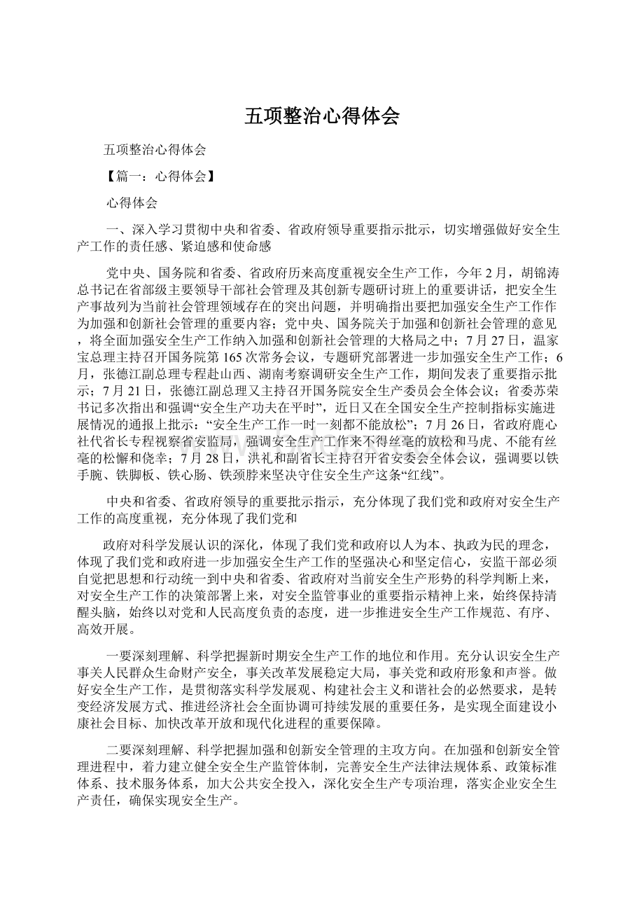 五项整治心得体会Word格式文档下载.docx