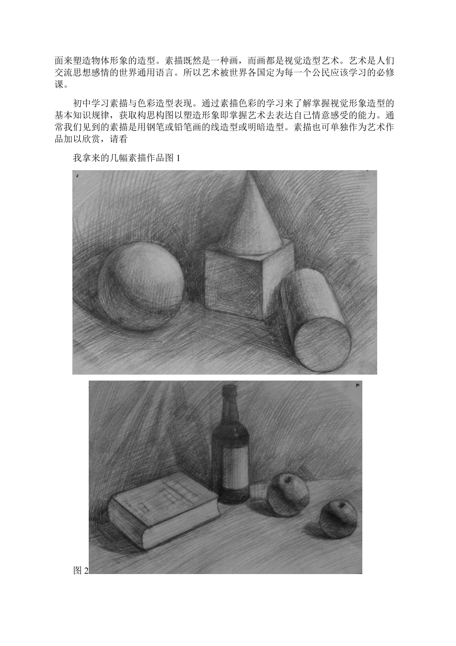 素描校本教材Word文件下载.docx_第2页