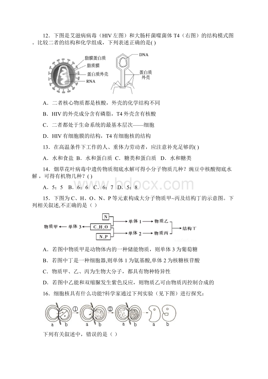 宁夏银川一中学年高二生物上学期期中试题.docx_第3页