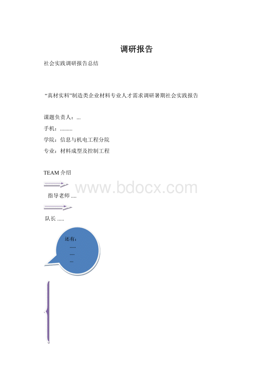 调研报告Word文档下载推荐.docx_第1页