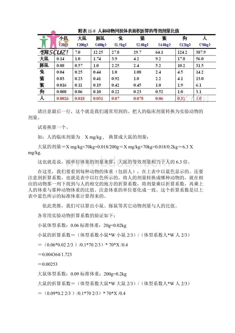 人与动物之间的给药剂量换算Word文档格式.docx_第2页