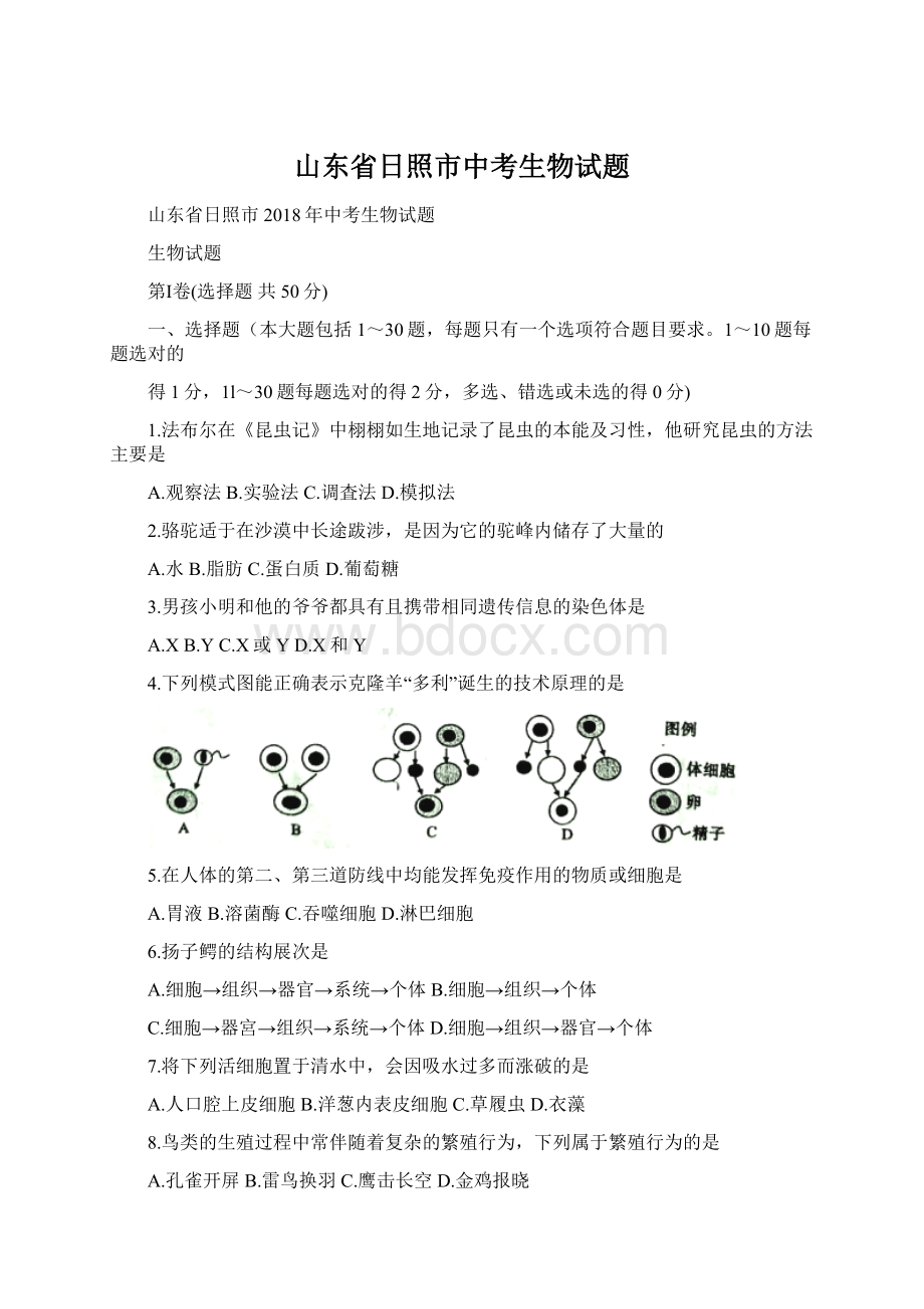 山东省日照市中考生物试题Word文档格式.docx