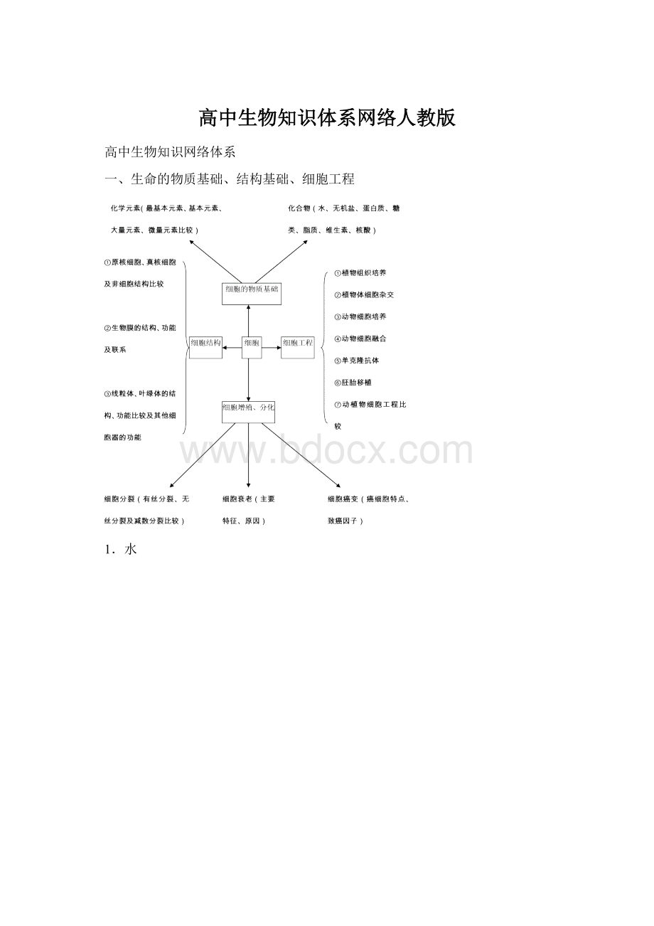 高中生物知识体系网络人教版.docx