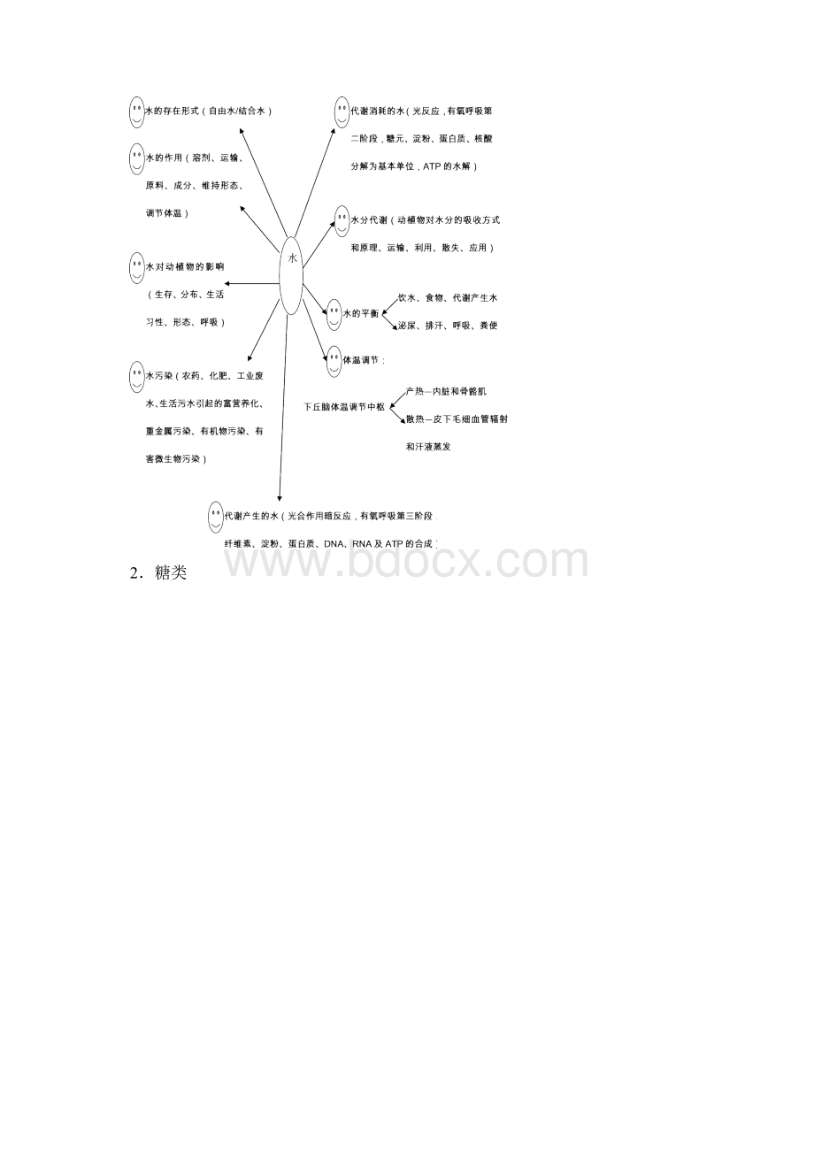 高中生物知识体系网络人教版Word文档下载推荐.docx_第2页