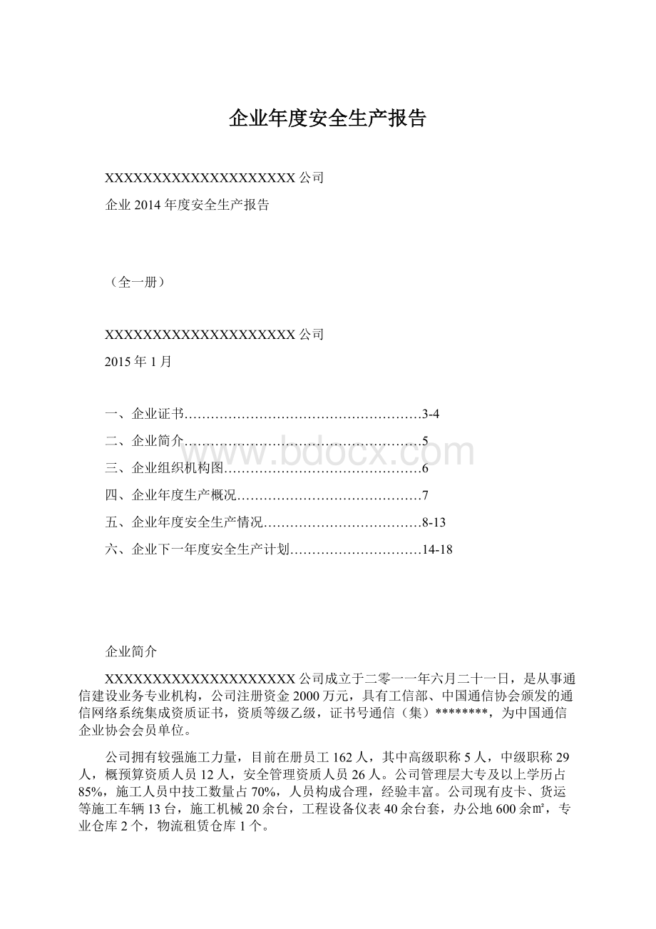 企业年度安全生产报告文档格式.docx_第1页