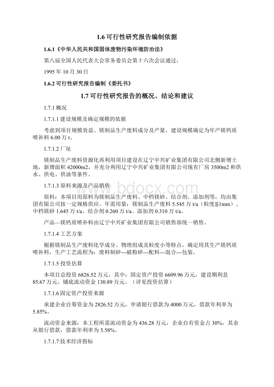 镁制品生产废物资源化再利用工程项目可行性研究报告Word文档格式.docx_第2页