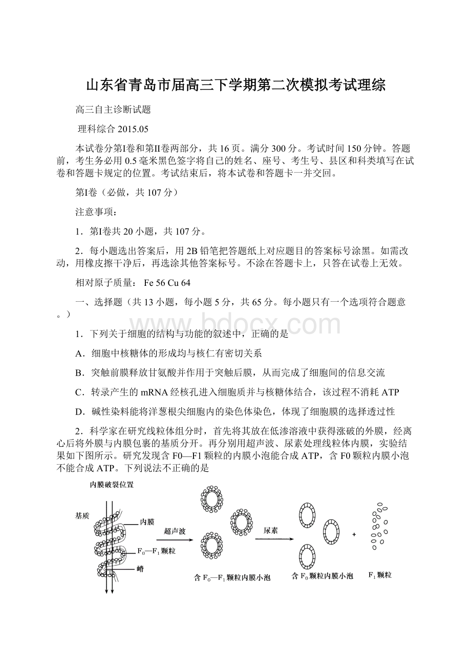 山东省青岛市届高三下学期第二次模拟考试理综.docx