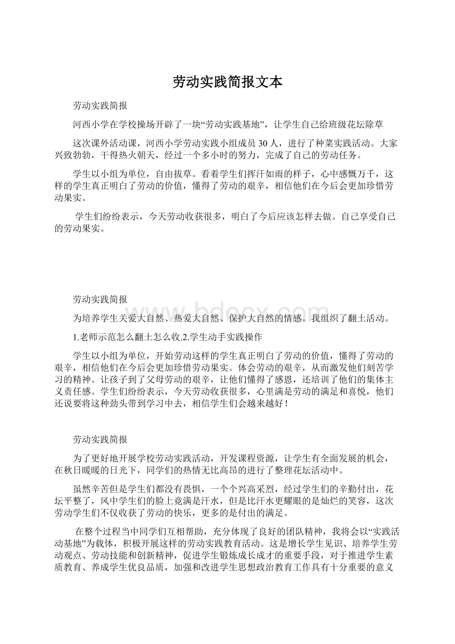 劳动实践简报文本Word文档下载推荐.docx