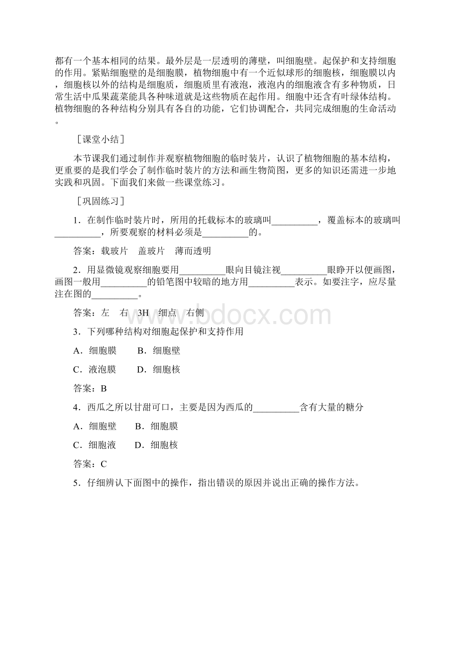 观察植物细胞教学设计.docx_第3页