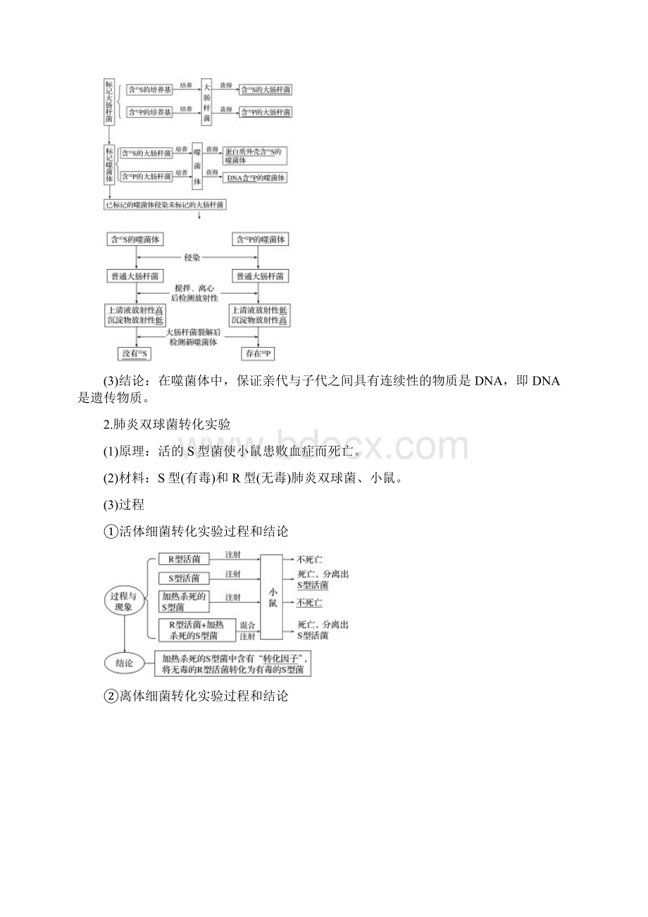 浙江专版版高考生物复习遗传的物质基础第17讲核酸是遗传物质的证据DNA的分子结构和特点教案.docx_第2页