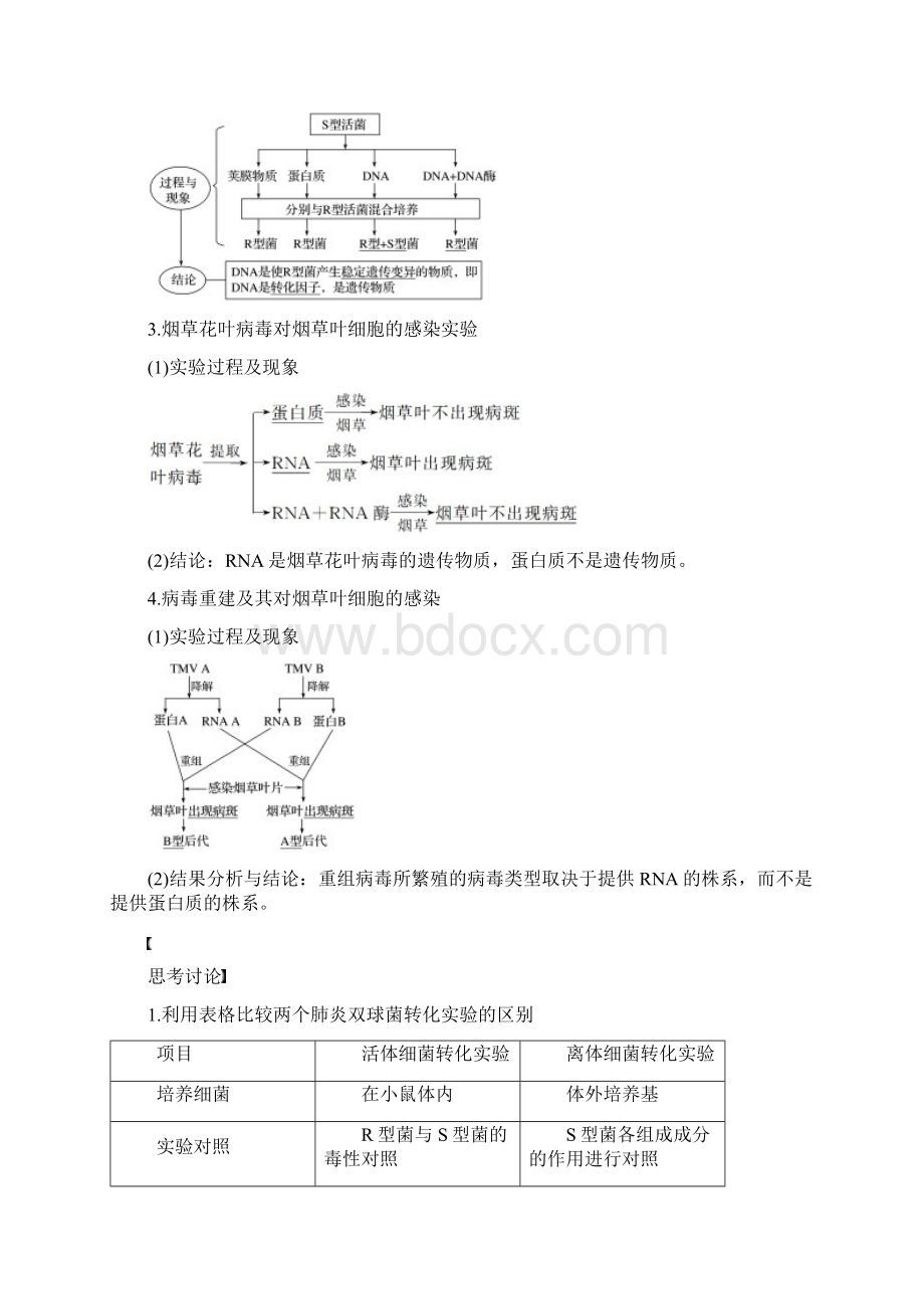 浙江专版版高考生物复习遗传的物质基础第17讲核酸是遗传物质的证据DNA的分子结构和特点教案.docx_第3页