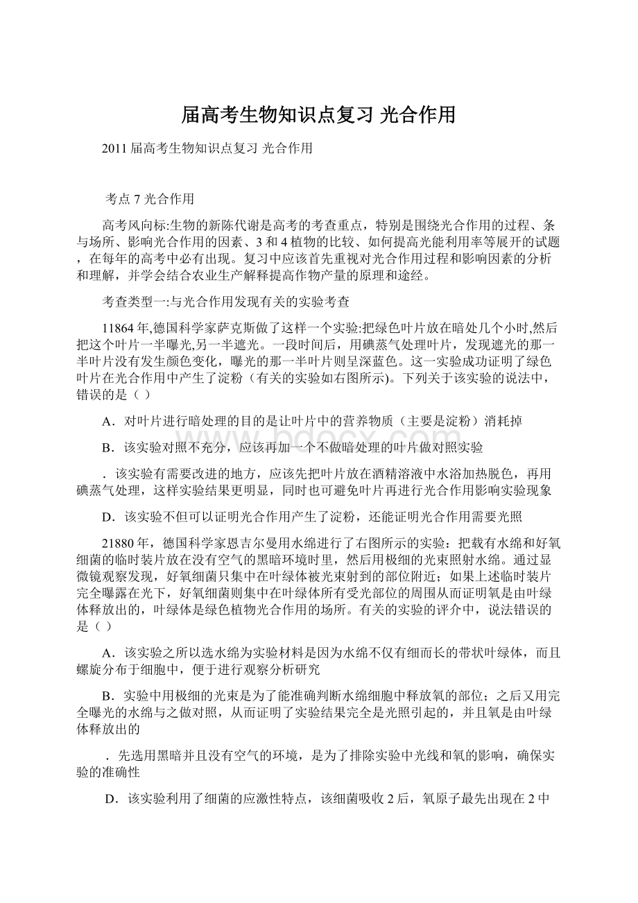 届高考生物知识点复习 光合作用Word格式文档下载.docx_第1页