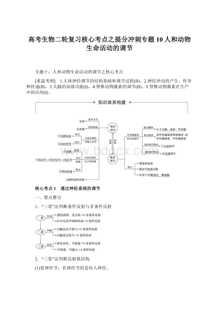 高考生物二轮复习核心考点之提分冲刺专题10人和动物生命活动的调节.docx