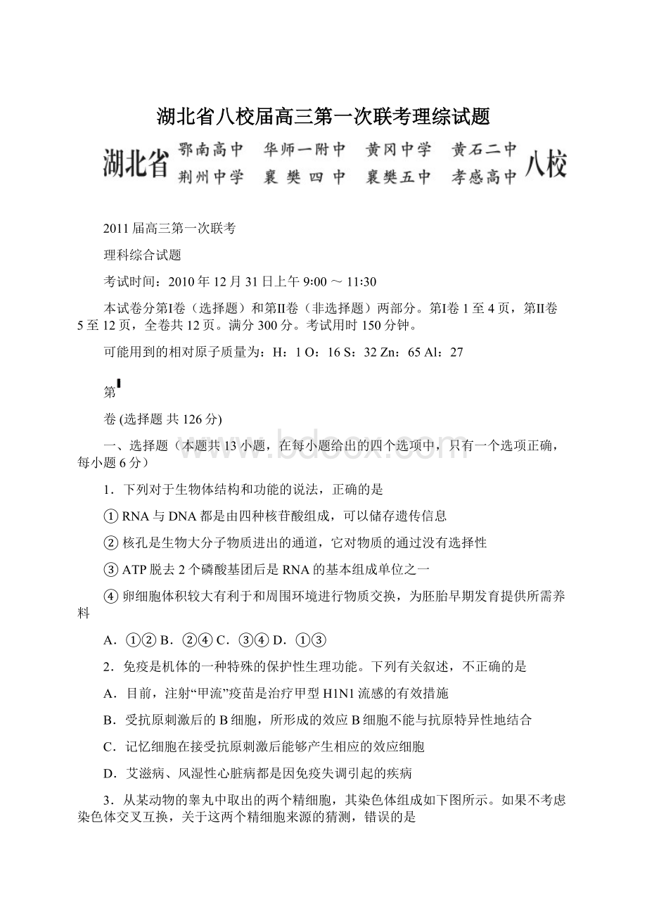 湖北省八校届高三第一次联考理综试题Word文档下载推荐.docx