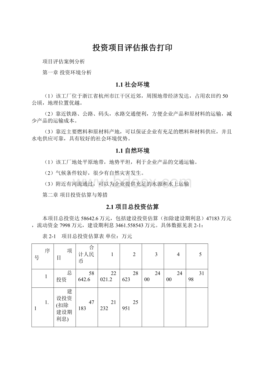 投资项目评估报告打印Word文档格式.docx_第1页