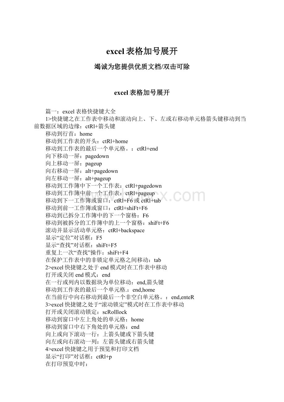 excel表格加号展开Word文档下载推荐.docx