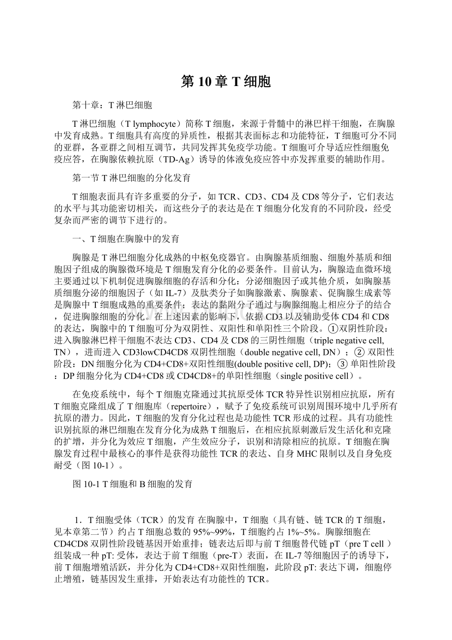 第10章 T细胞文档格式.docx_第1页