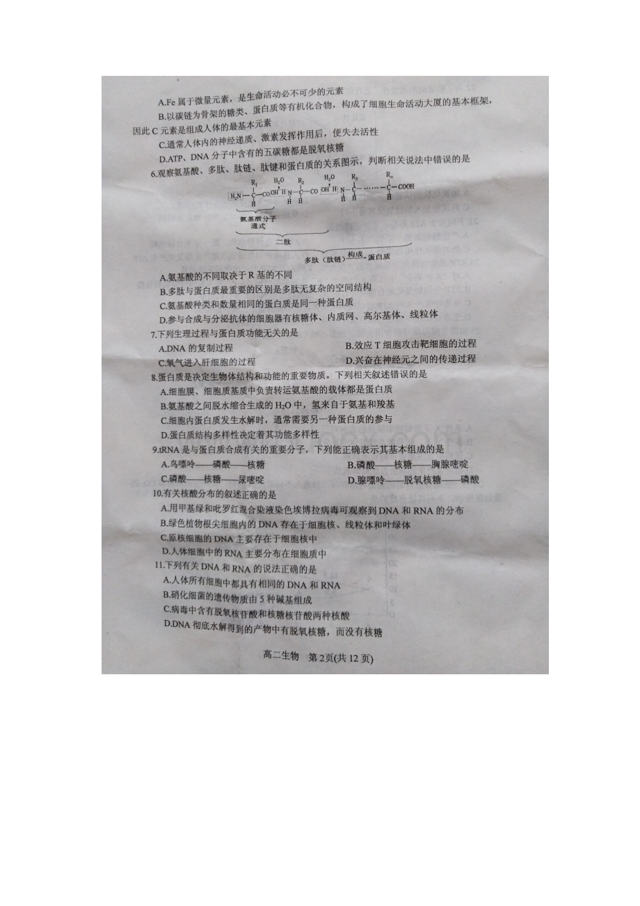 河南省南阳市高二生物下学期期末考试试题扫描版.docx_第2页