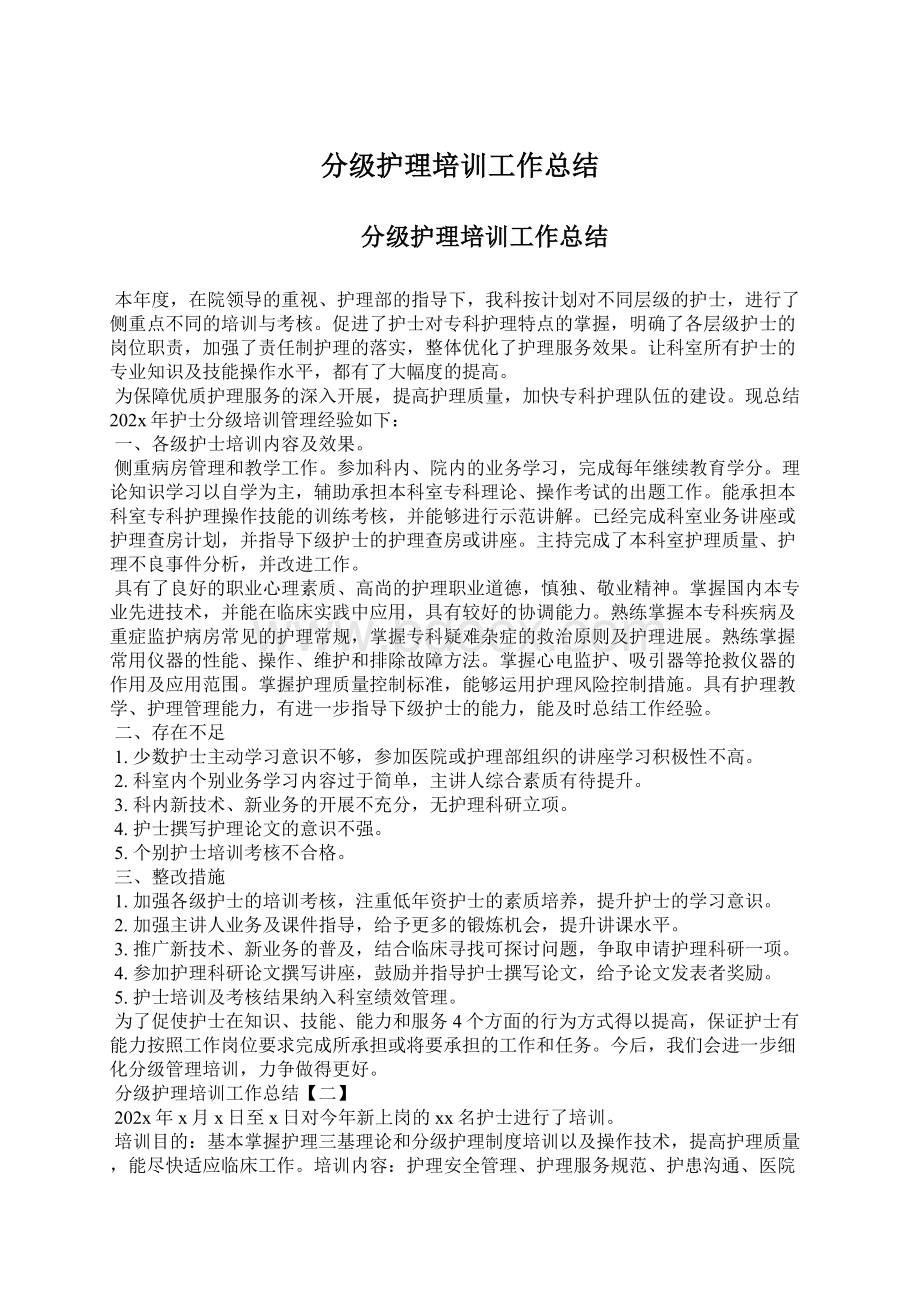 分级护理培训工作总结文档格式.docx_第1页