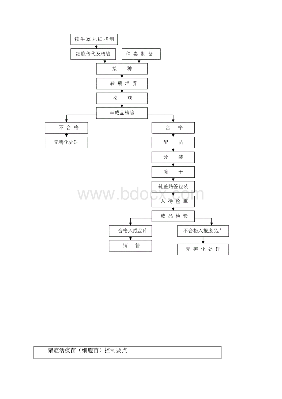 细胞苗工艺规程及SOPWord文档下载推荐.docx_第3页