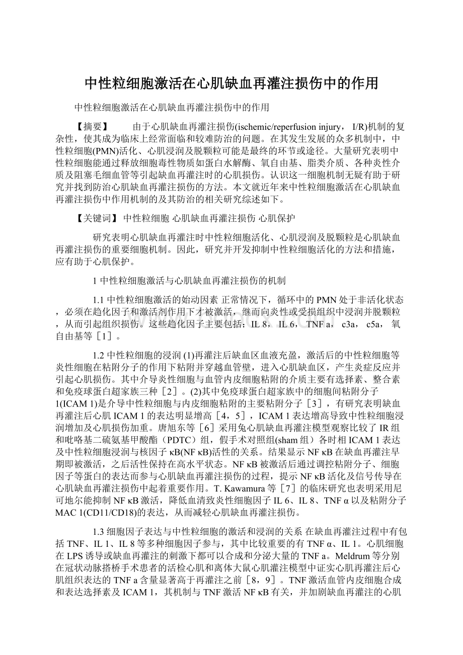 中性粒细胞激活在心肌缺血再灌注损伤中的作用文档格式.docx