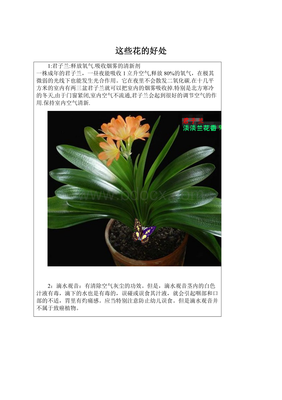 这些花的好处Word文档格式.docx