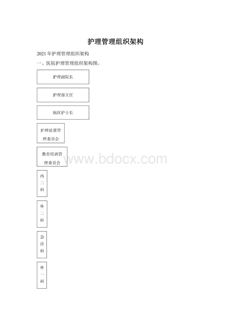 护理管理组织架构文档格式.docx_第1页