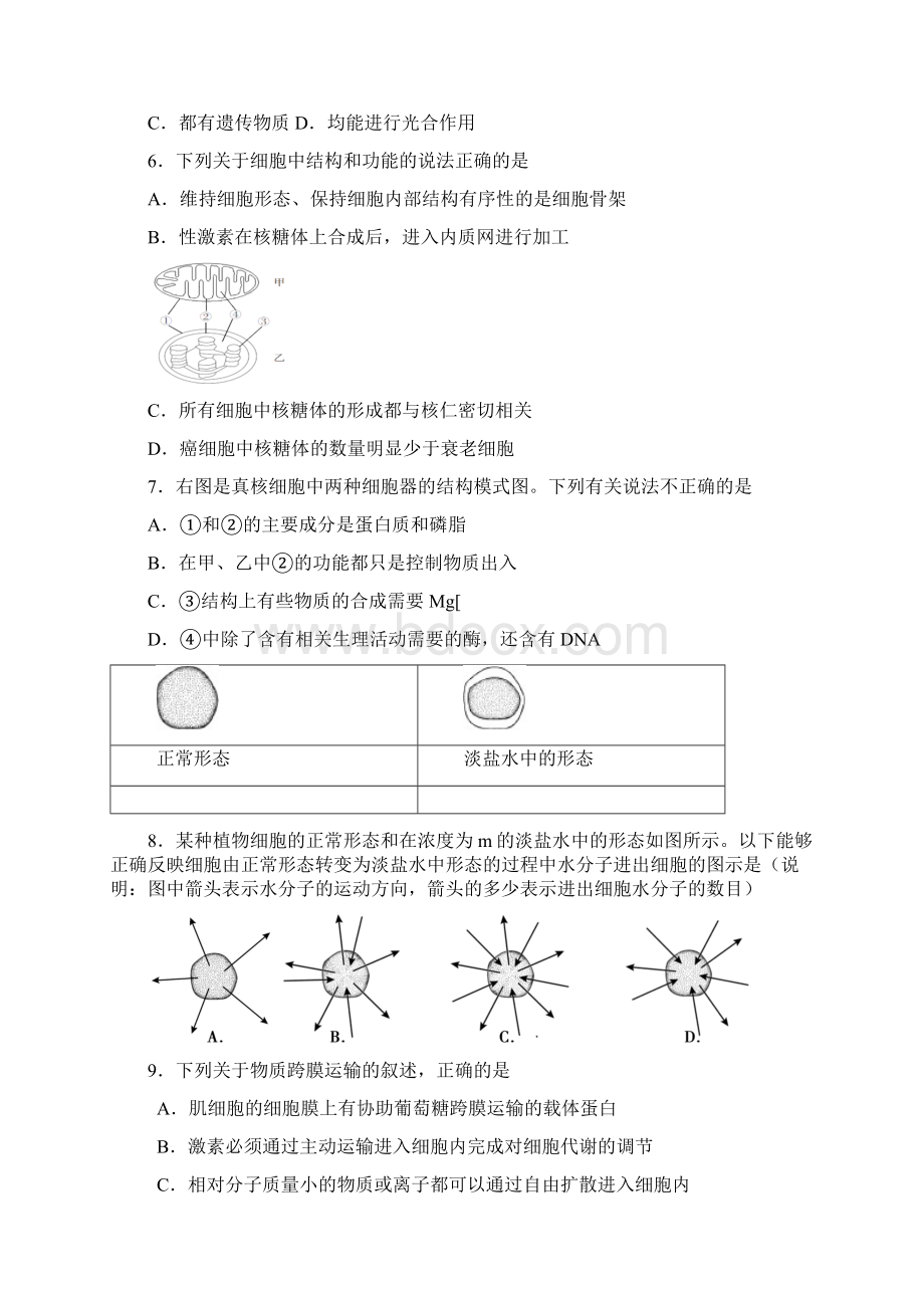 北京市朝阳区高三生物第一学期期中统一考试试题.docx_第2页