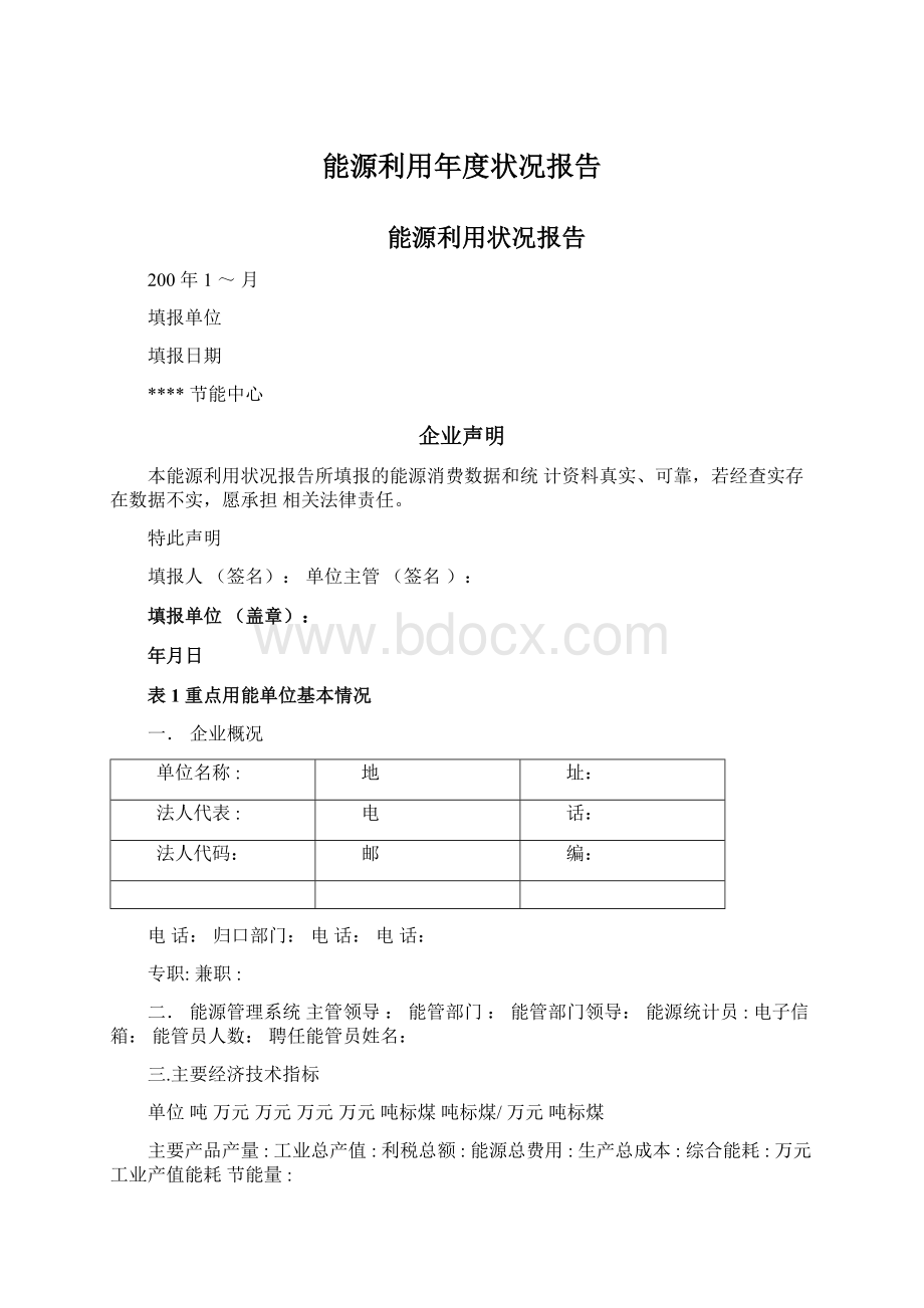 能源利用年度状况报告Word格式文档下载.docx_第1页