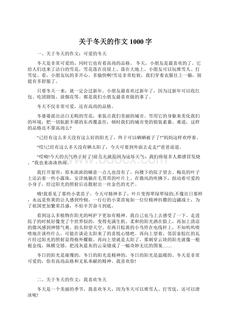 关于冬天的作文1000字.docx