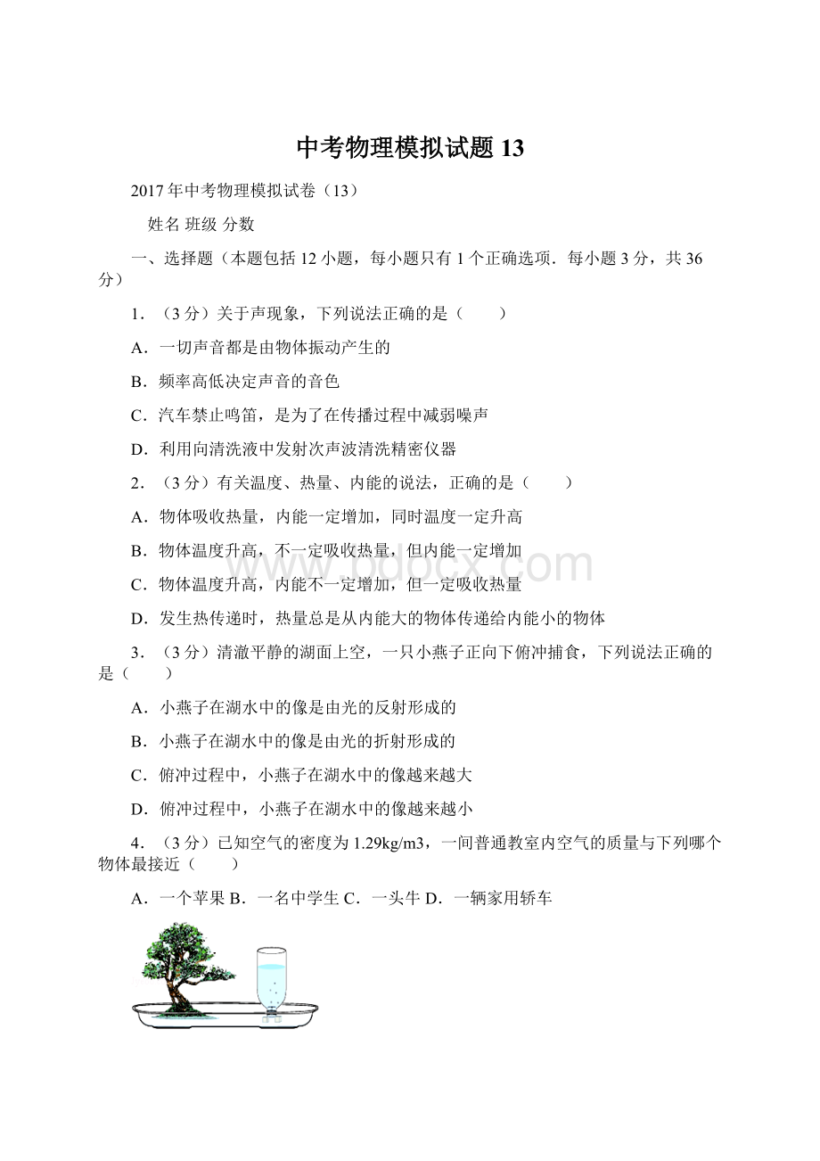 中考物理模拟试题13.docx