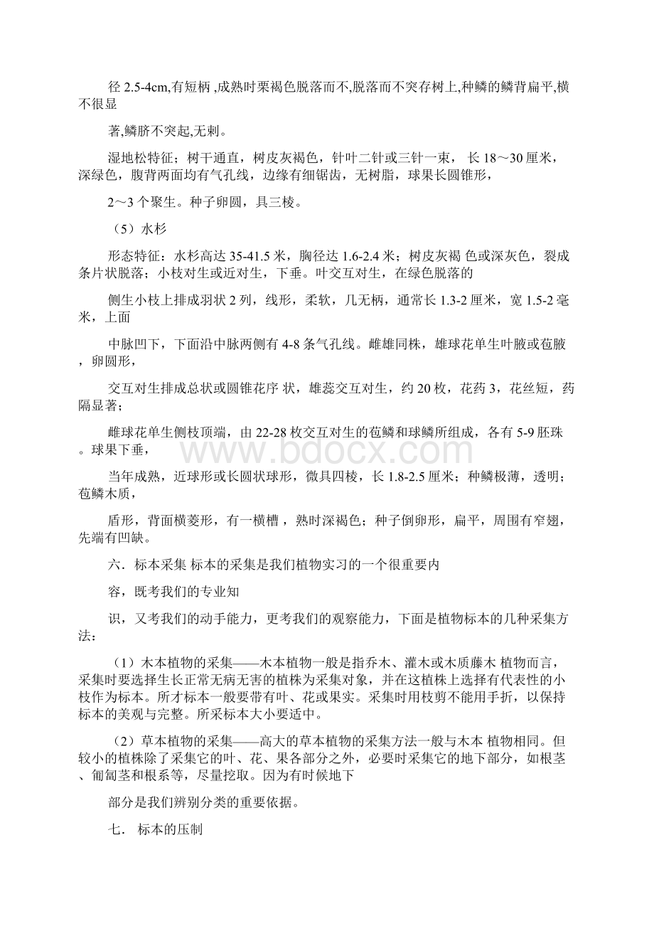 植物生产实习报告doc文档格式.docx_第3页