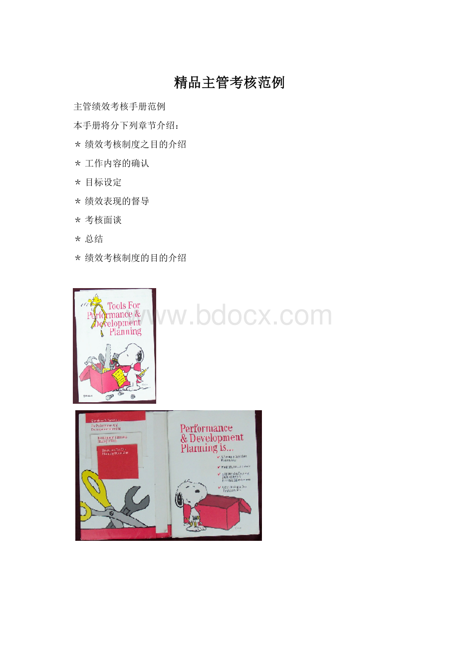 精品主管考核范例.docx_第1页