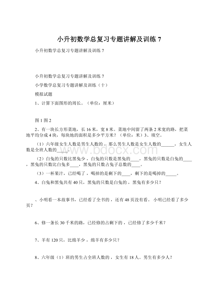 小升初数学总复习专题讲解及训练7.docx_第1页