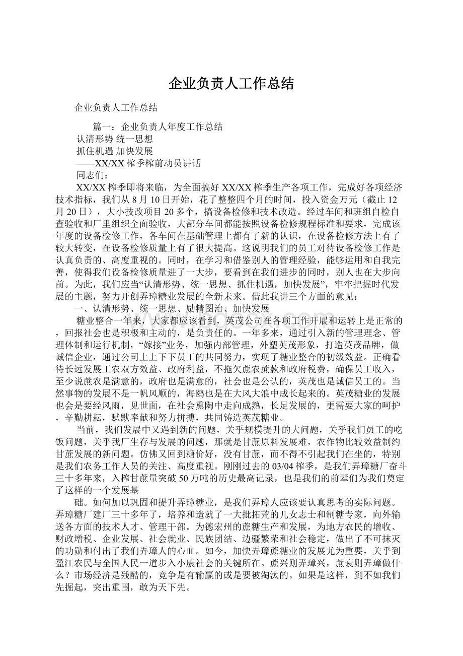 企业负责人工作总结.docx