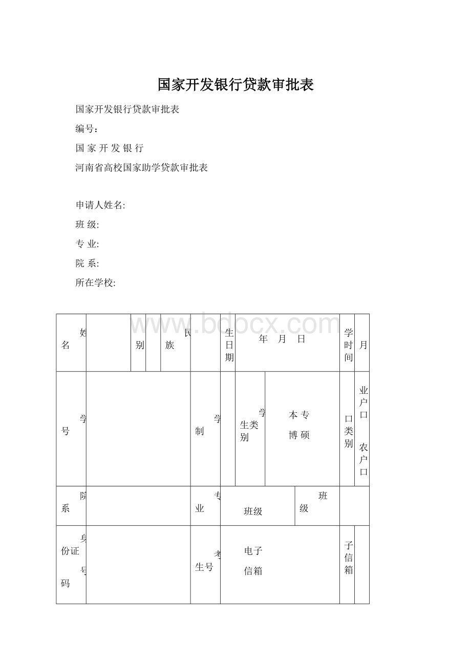 国家开发银行贷款审批表.docx