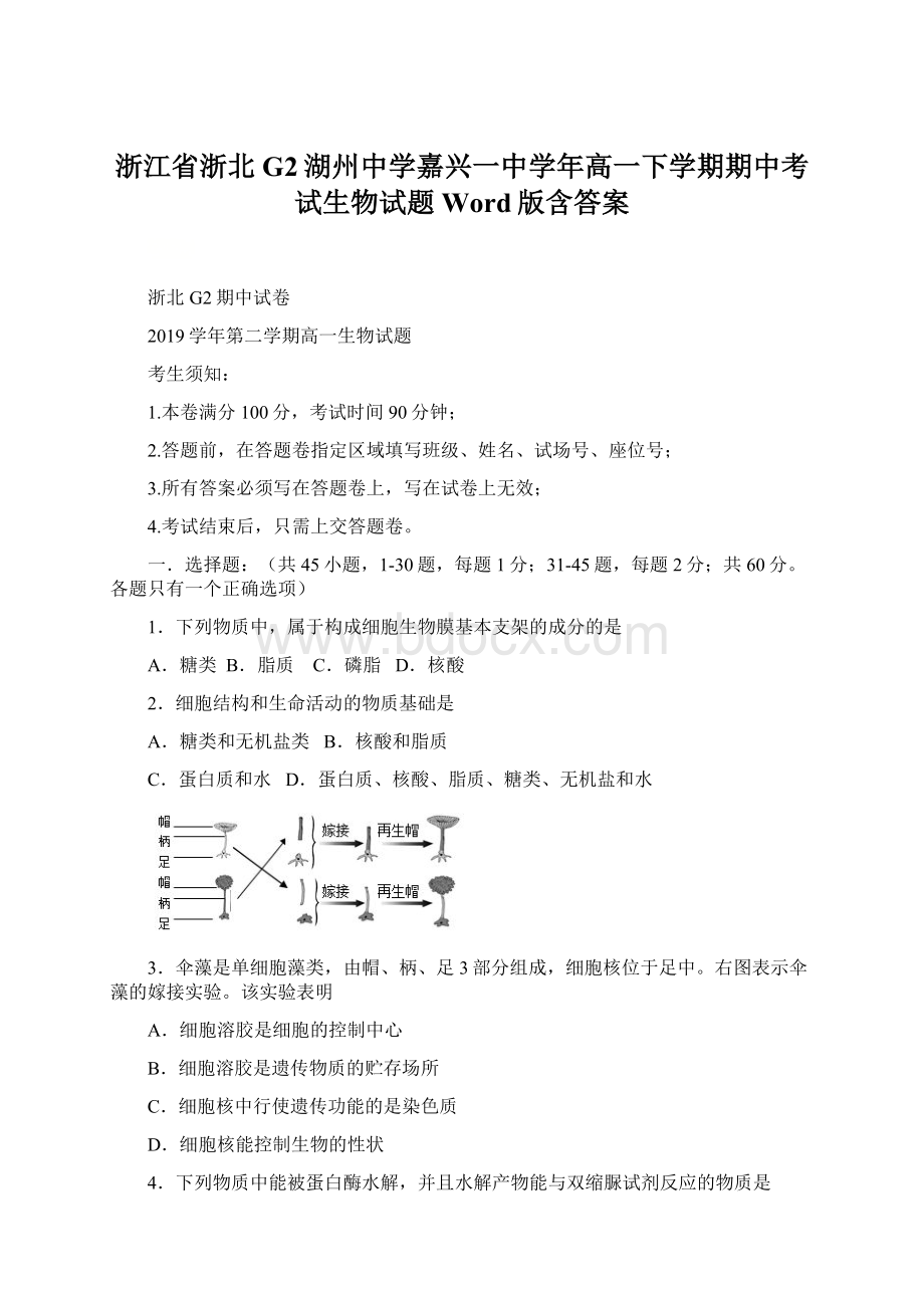 浙江省浙北G2湖州中学嘉兴一中学年高一下学期期中考试生物试题 Word版含答案.docx